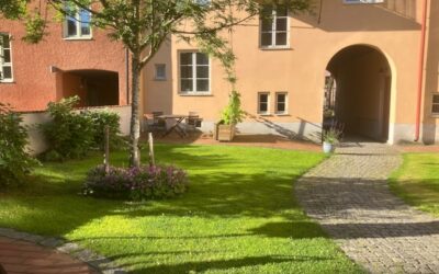 Simpele tuin ideeën: rust, overzicht en genieten zonder gedoe