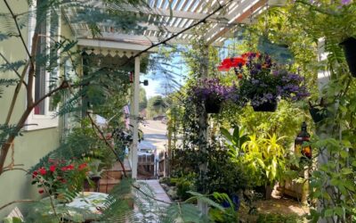 Kleine tuin ideeën: zo haal je alles uit een kleine buitenruimte