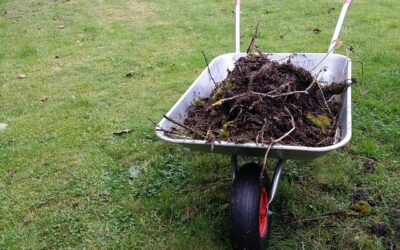 Tuin opknappen? Dit zijn de voordelen van een container huren