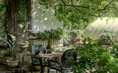 Tuin in Baltische stijl: zo creëert u een natuurlijke en rustige tuin