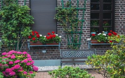 Alles wat je moet weten over deurdrangers voor binnen- en buitendeuren