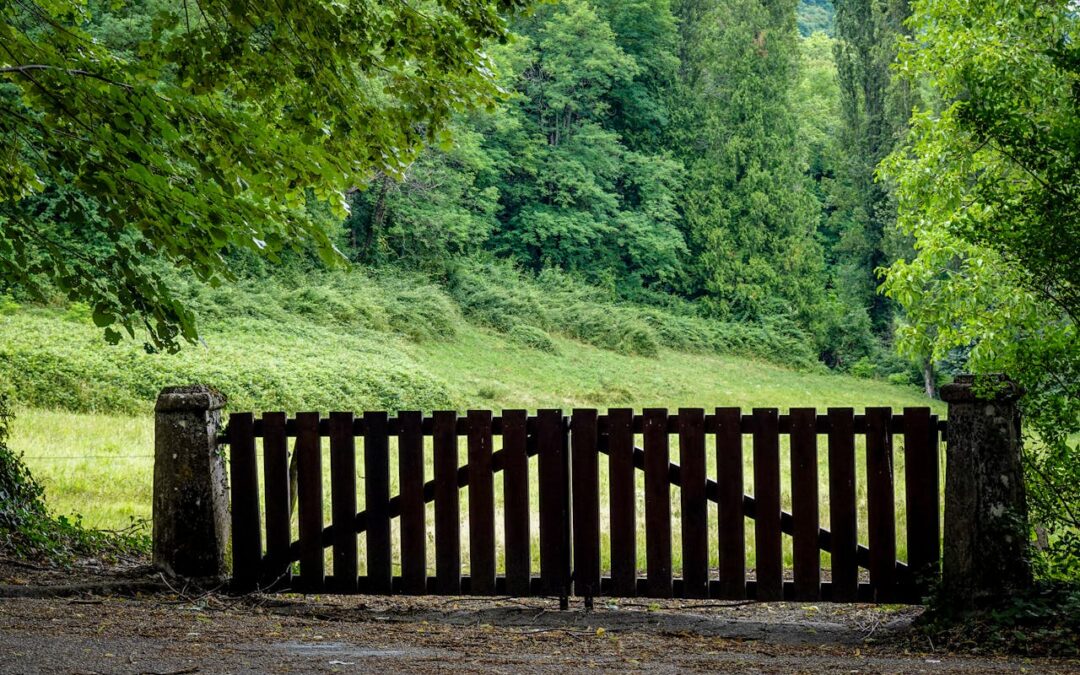 5 tips voor het verduurzamen van de tuin 
