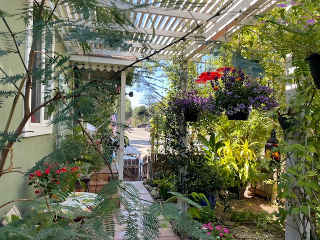 Kleine tuin ideeën: zo haal je alles uit een kleine buitenruimte