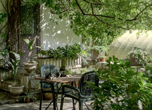 Tuin in Baltische stijl: zo creëert u een natuurlijke en rustige tuin