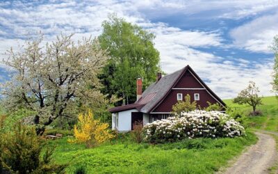 Tuin op het noorden, wat zijn de mogelijkheden?