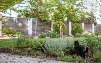 Tuin op het westen, middag en avondzon