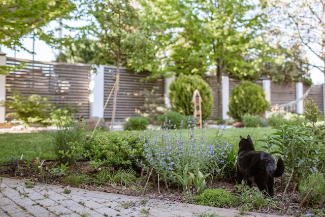 Tuin op het westen, middag en avondzon